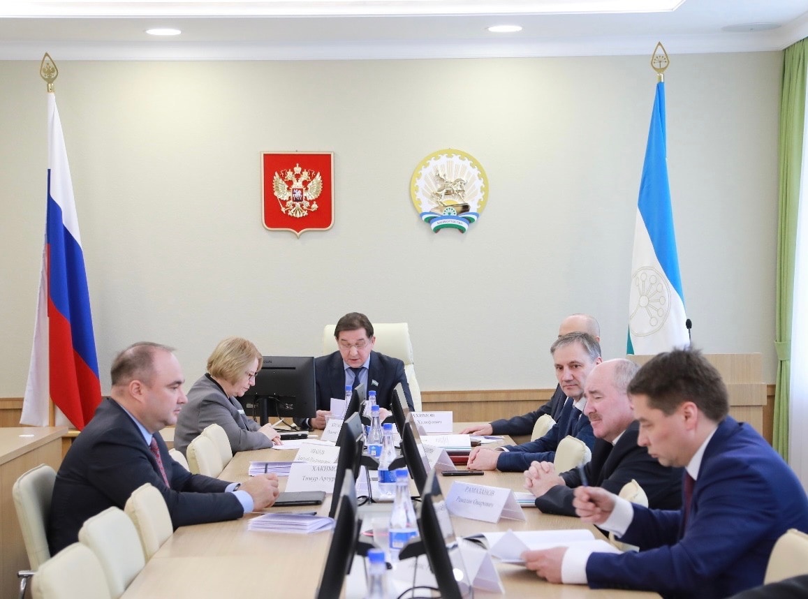 Тимур Хакимов принял участие в заседании Российско-Казахстанского делового совета